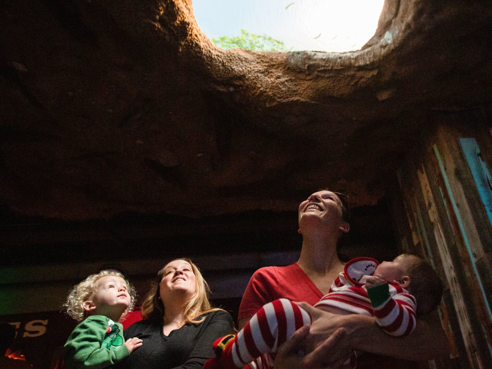 St. Louis Aquarium opens on Christmas Day
